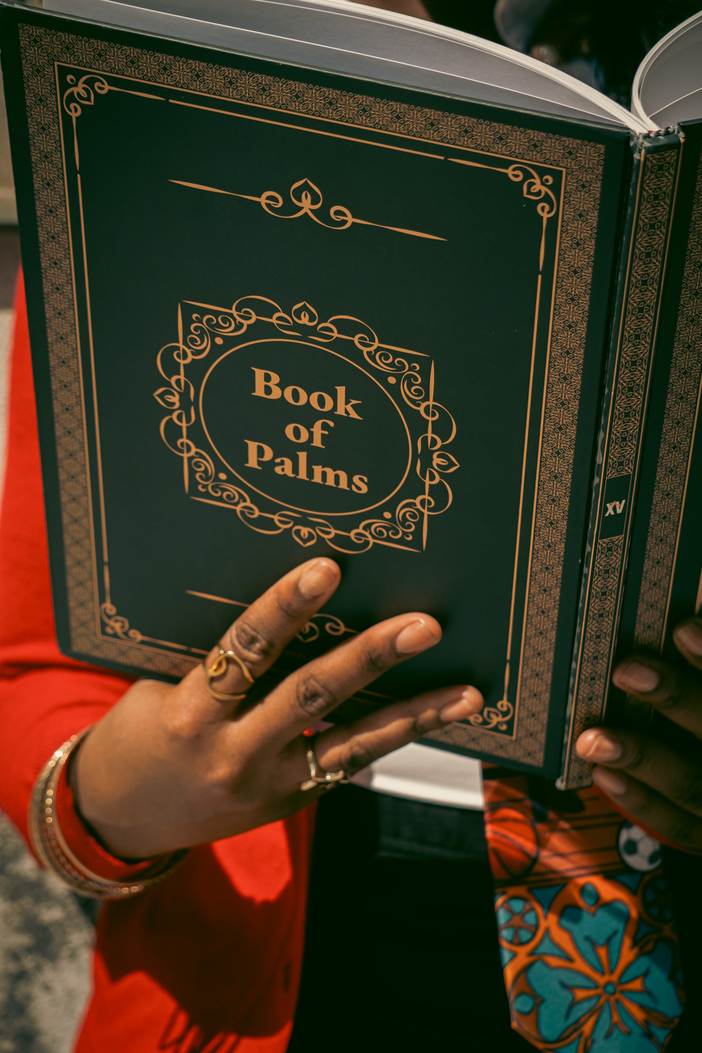 BOOK OF PALMS Vol. 1 // The Dreamers Journey (Hardback)